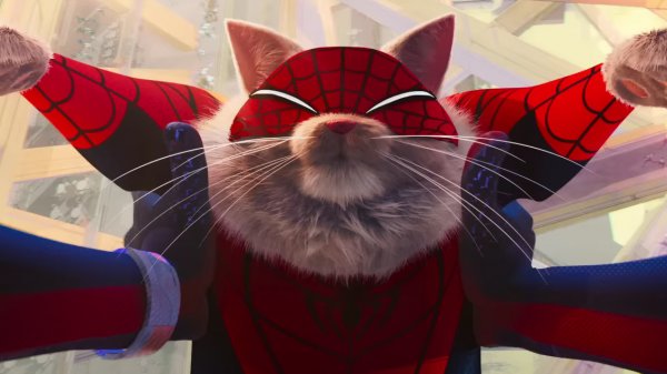 "Spider-Cat" se roba las miradas en "Across the Spider-Verse"