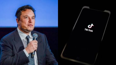 "Pura ficción": TikTok no planea ninguna venta a Elon Musk