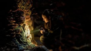 [Reseña] The Last of Us | Temporada II - Episodio 5: No hay vuelta atrás